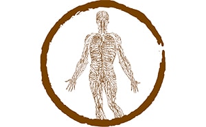 integrative medizin