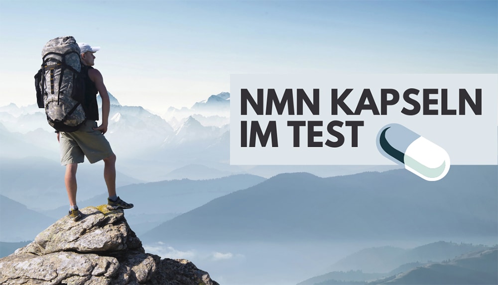 nmn supplement kapseln test