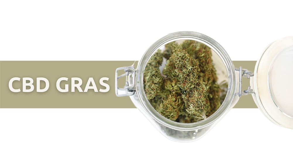 cbd gras