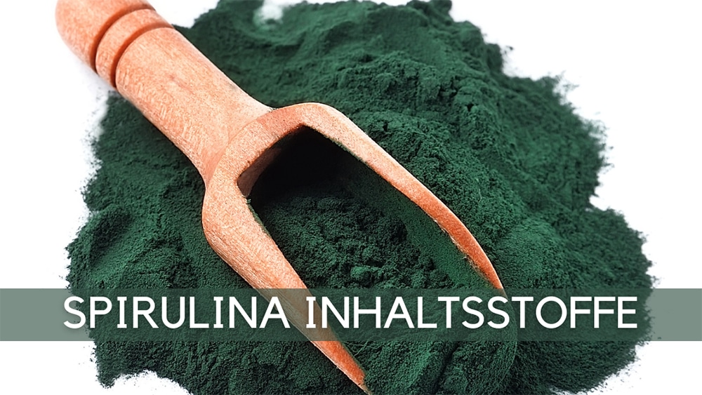 SPIRULINA INHALTSSTOFFE