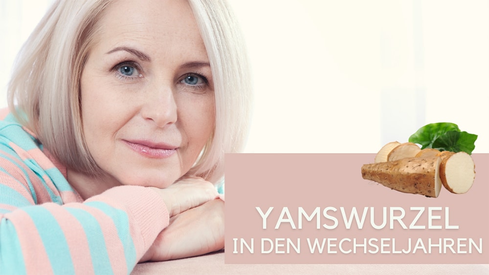 Yamswurzel Wechseljahre